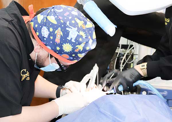 Oral & Maxillofacial Surgery