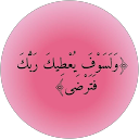 habiba Emad profile picture